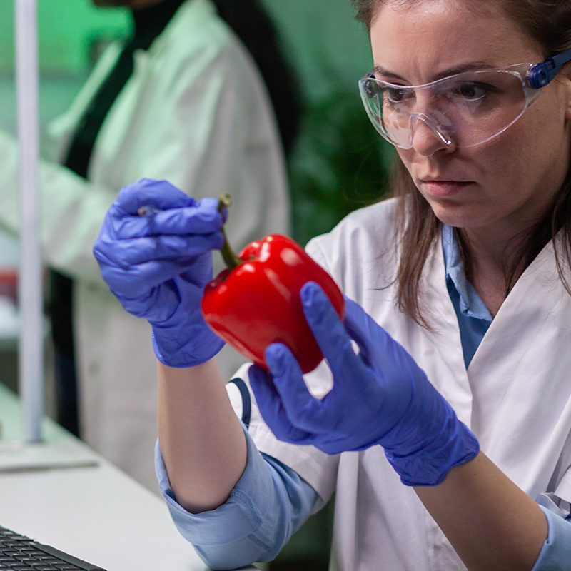 Biologist woman examining pepper writing microbiology medical expertise on notepad for analyzing agriculture. Scientist chemist discovering gmo fruits working in pharmacology laboratory.